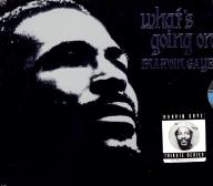 Picture for song 'Whats Goen On(Remix)' by artist 'Human Element'