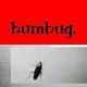 Picture for song 'Crazy on Paper' by artist 'Humbug'