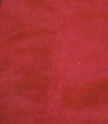 Picture for song 'Beach Barbecue on a Pond of Bliss' by artist 'Humming Billed'