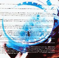 Picture for song 'Curly Fries At George Bush International' by artist 'Humming Billed'