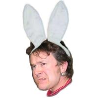 Picture for song 'Jäniskevennys' by artist 'Hurjat Hipit'