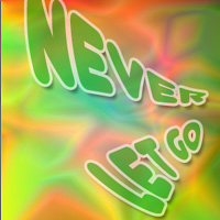 Picture for song 'Never Let Go (Radio Mix)' by artist 'Hybrid Factor'