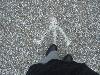 Picture for song 'Walk Wit Me' by artist 'Hydro (2 Sides 2 A Book)'