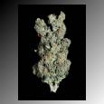 Picture for song 'Hygh Lyfe Preview 2 slowed' by artist 'Hygh Lyfe'