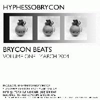 Picture for song 'Call the Wu Tang Beat' by artist 'Hyphessobrycon'