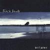 Picture for song 'Black Sands' by artist 'Ian Rushton'