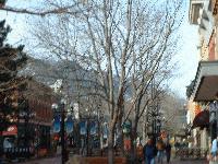 Picture for song 'winter nights' by artist 'Ian Sorrentino'