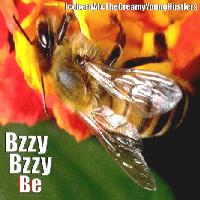 Picture for song 'Lecture From Luther' by artist 'Iceberg Al and The Creamy Young Hustlers'