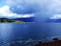 Picture for song 'rain on the meadows' by artist 'icis nizz'