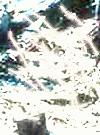 Picture for song 'BHS643333-EENS-9987756' by artist 'ICOC'
