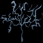 Picture for song 'Juniper' by artist 'Idiom'