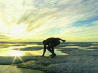 Picture for song 'Atanarjuat' by artist 'Idoalist-Lethally Yours'