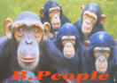 Picture for song 'Calling Of The Shi People' by artist 'Idoalist-Lethally Yours'