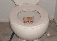 Picture for song 'Deep shit' by artist 'Idonotlikebroccoli'