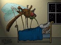 Picture for song 'Mosquito funk' by artist 'Idonotlikebroccoli'