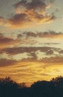 Picture for song 'Apology Song' by artist 'IDon'tFuckinKnow'