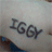 Picture for song 'The Seat of My Soul' by artist 'Iggy'