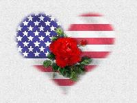 Picture for song 'Fallen Soldiers' by artist 'IHMS'