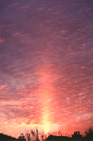 Picture for song 'Can of Boots' by artist 'Ihop Asswhoop'