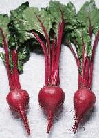 Picture for song 'Beet Greens' by artist 'Ihop Asswhoop'