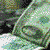 Picture for song 'Hip Hop n Dead Presidents' by artist 'iLL mindeds world'