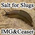 Picture for song 'Salt for Slugs' by artist 'iLL mindeds world'