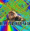 Picture for song 'LIKE JAH' by artist 'ILL NATURED420'