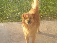 Picture for song 'Chillaxx' by artist 'Ill Spittin All Starz'