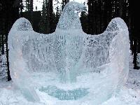 Picture for song 'In My Flip FlopzZ' by artist 'Ill Spittin All Starz'