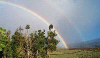 Picture for song 'Rainbow Connection' by artist 'Imagine That'