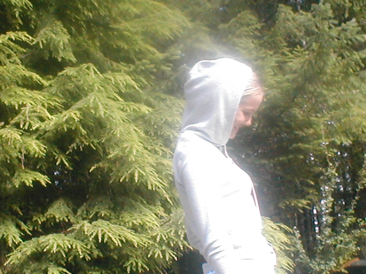 Picture for song 'ft. Introspective- Indeed' by artist 'I'm hiding this from the world'