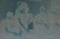 Picture for song 'Lucid Summer Dreaming' by artist 'Impavid'