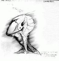 Picture for song 'Lullaby (God sing me...)' by artist 'impo'