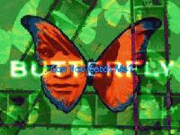 Picture for song 'Butterfly Remix' by artist 'ImPorTBrEaKeR'