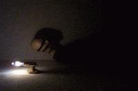 Picture for song 'Fickle Mistress' by artist 'Impossible Toys'