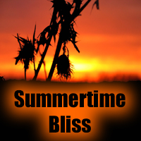 Picture for song 'Summertime Bliss' by artist 'Incidental Fusion'