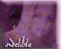 Picture for song 'The Wolf Brigade w/Lord Zero & Vega X' by artist 'iNDELiBLe'