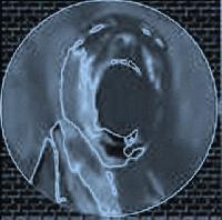Picture for song 'World of Chaos w/ Mac BLaZe' by artist 'iNDELiBLe'