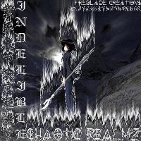 Picture for song 'FLiP Da FLoP w/Lord Zero &StOrM' by artist 'iNDeLiBLe DiSseS'