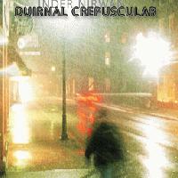 Picture for song 'Diurnal Crepuscular' by artist 'Inder Nirwan'