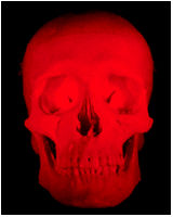 Picture for song 'Oh Ooh Wee , Produced by Napalmz, Artist is Swift' by artist 'Industry Productions'