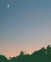 Picture for song 'Revealations of a devoted psyche' by artist 'Ineffable Productionz vol 2'