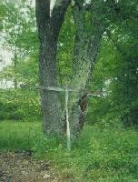 Picture for song 'KILL HIM (UPSTATE) This should be #1 on SOUNDCLICK' by artist 'INFALLIBLENYC'