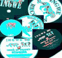 Picture for song 'Open Mind + Sabbatical 96' by artist 'INGWErecords'