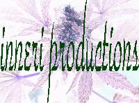 Picture for song 'Insight' by artist 'inneri productions'