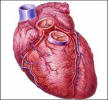 Picture for song 'BLOODPRESSURE' by artist 'INSTRUMENTAL MUSIC FOR ARTISTS (HIP HOP) YEAR 2001'