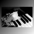 Picture for song 'FLY PIANO' by artist 'INSTRUMENTAL MUSIC FOR ARTISTS (HIP HOP) YEAR 2001'