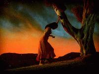 Picture for song 'FADIN'' by artist 'INSTRUMENTAL MUSIC FOR ARTISTS (HIP HOP) YEAR 2003'