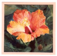Picture for song 'Water Lillies' by artist 'INTENSITY'