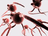 Picture for song 'Last Chance' by artist 'Interruption'